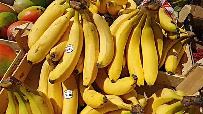 Dieta garstkowa – prosty sposób na zdrowe odżywianie