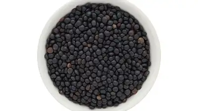 Soczewica: przygotowanie, wartości odżywcze i przechowywanie