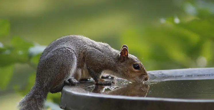Częste oddawanie moczu: przyczyny i leczenie