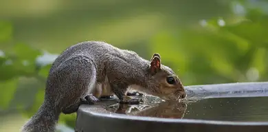 Częste oddawanie moczu: przyczyny i leczenie