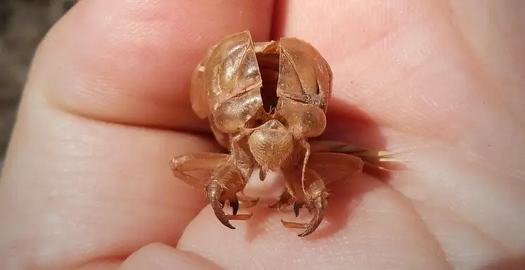 Hormony a skóra: jak wpływają i zapobiegać