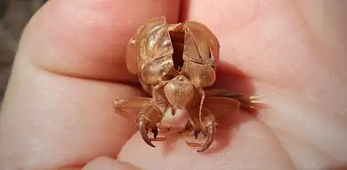 Hormony a skóra: jak wpływają i zapobiegać