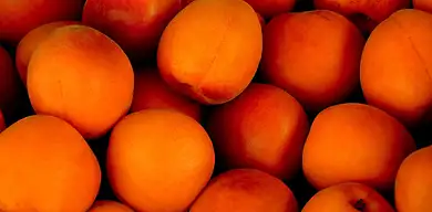 Morele: właściwości, wartości odżywcze, kalorie