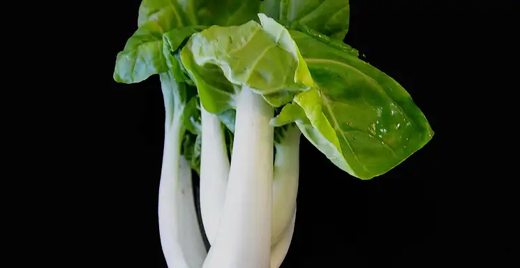Kapusta pak choi - właściwości i wykorzystanie