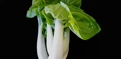 Kapusta pak choi - właściwości i wykorzystanie