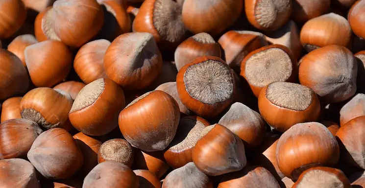 Odżywki białkowe: buduj mięśnie skutecznie