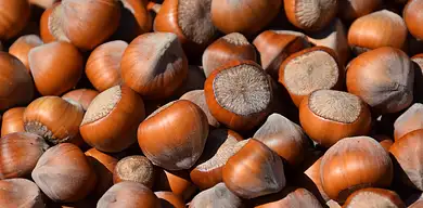 Odżywki białkowe: buduj mięśnie skutecznie