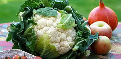 Warzywa i owoce w diecie: porady na zdrowsze jedzenie