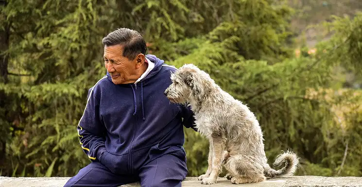 Jak biegać z psem? Praktyczne porady dla początkujących