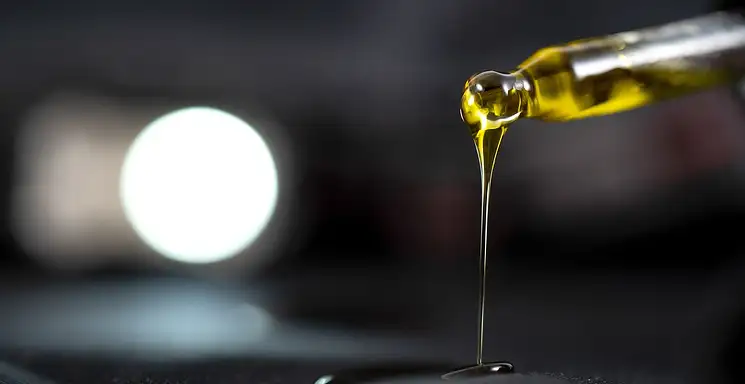 Olej z nasion bawełny – właściwości i zastosowanie