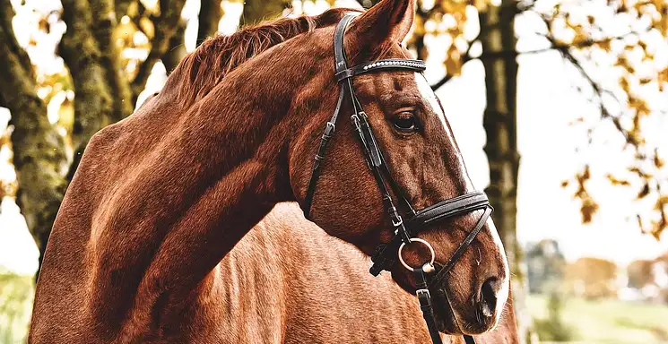 Międzynarodowe Targi Beauty Days: co warto wiedzieć