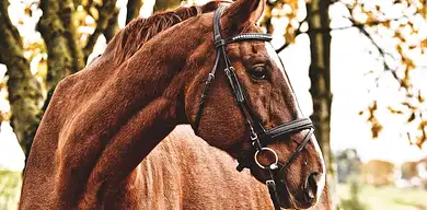 Międzynarodowe Targi Beauty Days: co warto wiedzieć