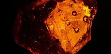 Jak usunąć żywicę z ubrania? Skuteczne metody