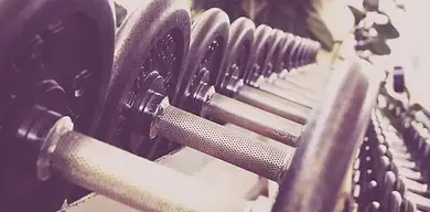 Mięśnie antagonistyczne w treningu siłowym